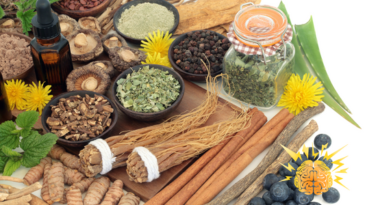 The Power of Adaptogens: Herbs to Reduce Stress and Anxiety