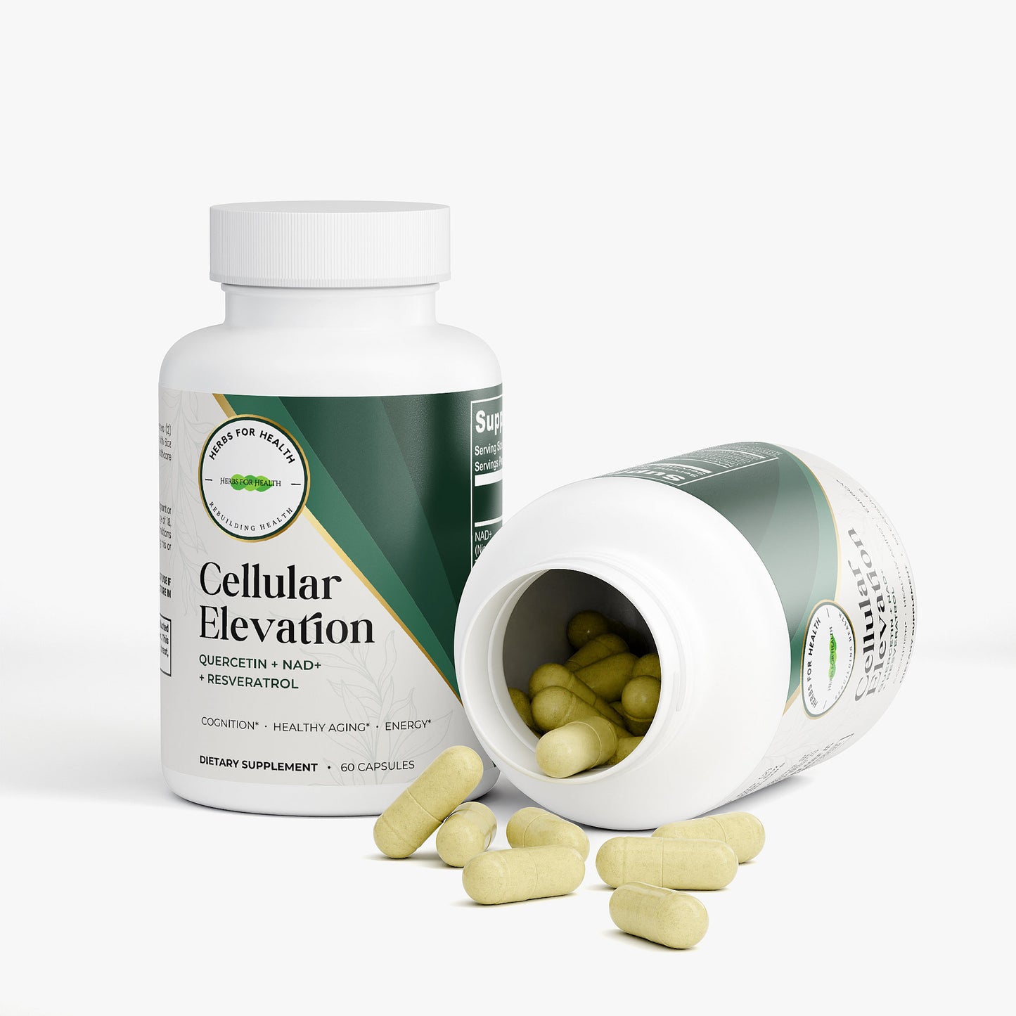 Cellular Elevation