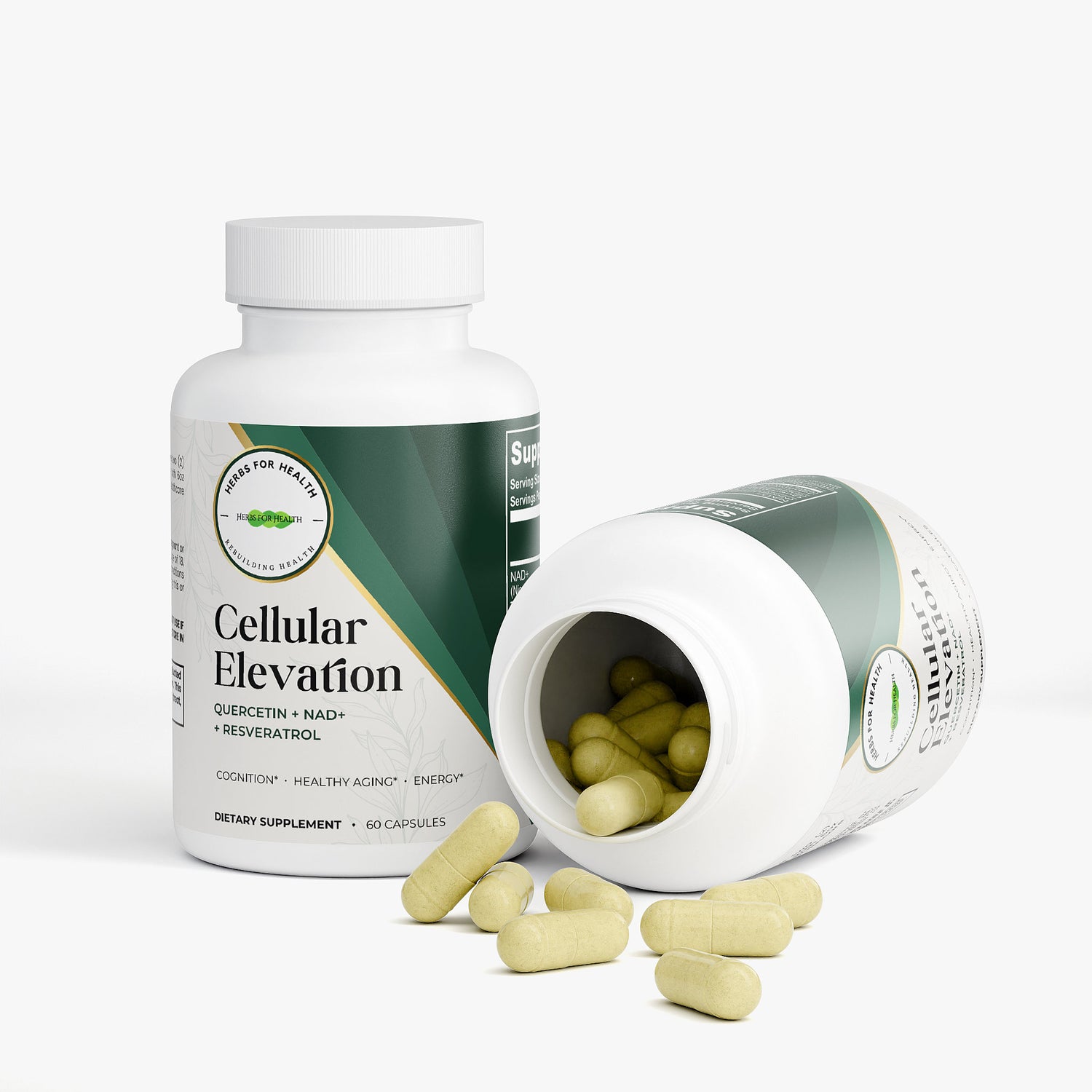 Cellular Elevation