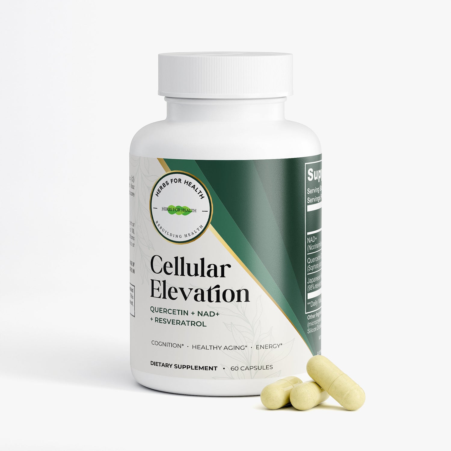 Cellular Elevation